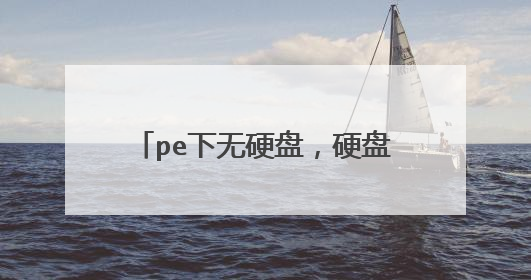 pe下无硬盘,硬盘检测工具没发现硬盘,invalid system disk