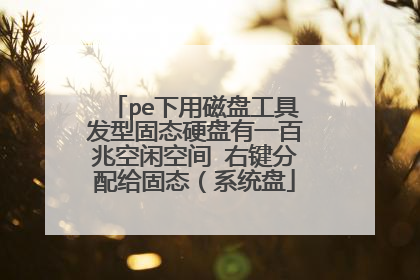 pe下用磁盘工具发型固态硬盘有一百兆空闲空间 右键分配给固态（系统盘