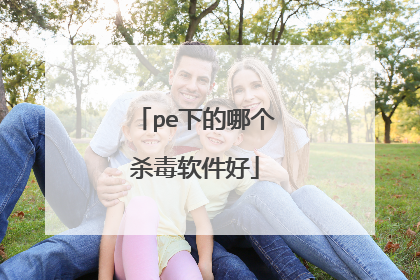 pe下的哪个杀毒软件好