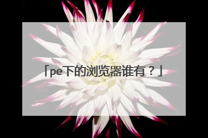 pe下的浏览器谁有？