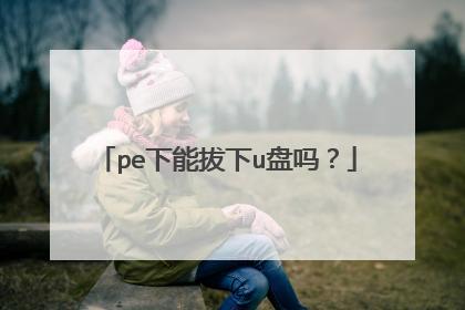 pe下能拔下u盘吗？