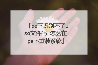 pe下识别不了iso文件吗 怎么在pe下重装系统