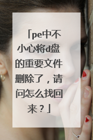 pe中不小心将d盘的重要文件删除了，请问怎么找回来？