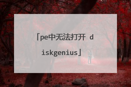 pe中无法打开 diskgenius