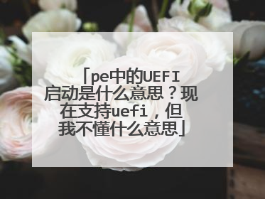 pe中的UEFI启动是什么意思?现在支持uefi,但我不懂什么意思