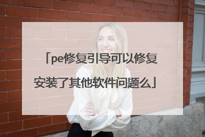 pe修复引导可以修复安装了其他软件问题么