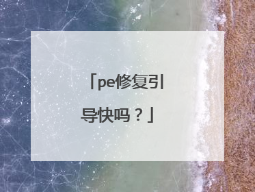 pe修复引导快吗?