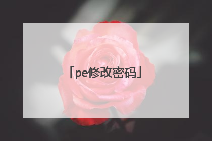 pe修改密码