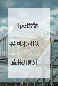 pe优盘买回来可以直接用吗