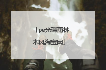 pe光碟雨林木风淘宝网