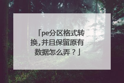 pe分区格式转换,并且保留原有数据怎么弄？