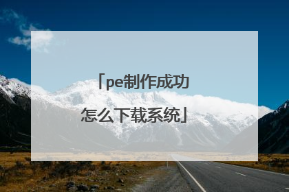 pe制作成功怎么下载系统