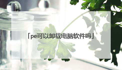 pe可以卸载电脑软件吗