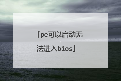pe可以启动无法进入bios