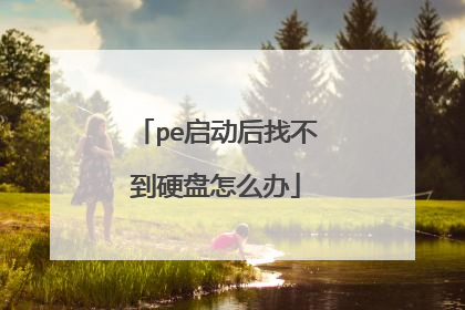 pe启动后找不到硬盘怎么办