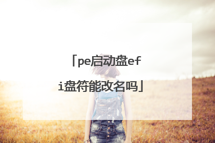 pe启动盘efi盘符能改名吗