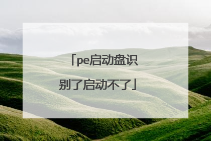 pe启动盘识别了启动不了