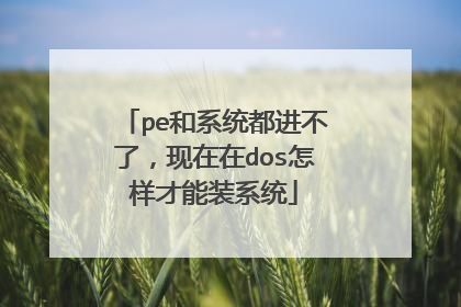 pe和系统都进不了,现在在dos怎样才能装系统
