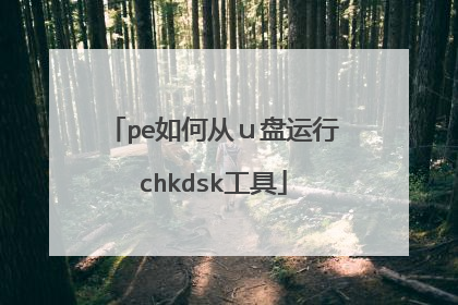pe如何从ｕ盘运行chkdsk工具