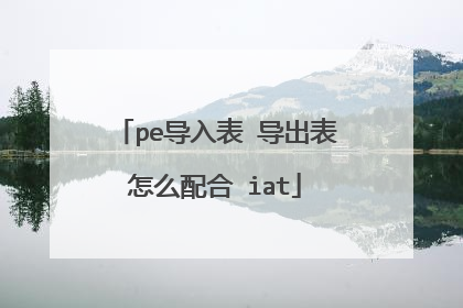 pe导入表 导出表怎么配合 iat