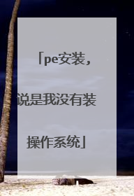 pe安装,说是我没有装操作系统