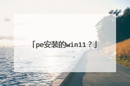 pe安装的win11？