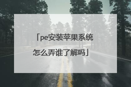 pe安装苹果系统怎么弄谁了解吗