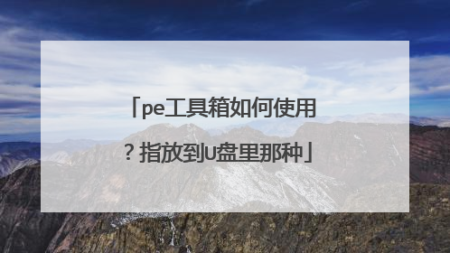 pe工具箱如何使用？指放到U盘里那种