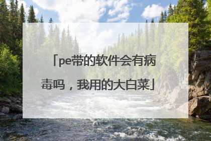 pe带的软件会有病毒吗,我用的大白菜