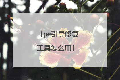 pe引导修复工具怎么用