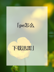 pe怎么下载迅雷