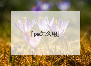 pe怎么用