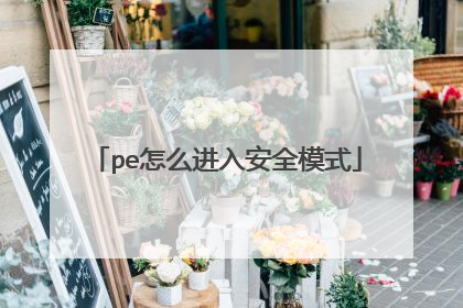 pe怎么进入安全模式