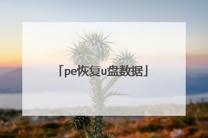 pe恢复u盘数据