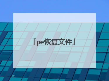 pe恢复文件