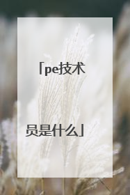 pe技术员是什么