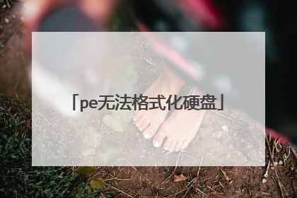 pe无法格式化硬盘