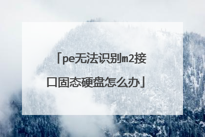 pe无法识别m2接口固态硬盘怎么办