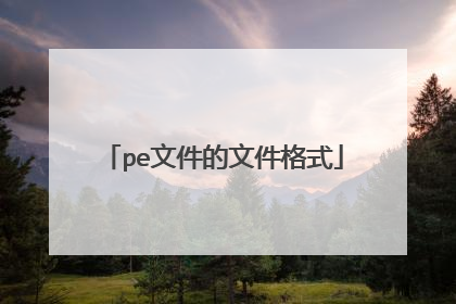 pe文件的文件格式