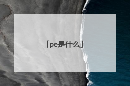 pe是什么