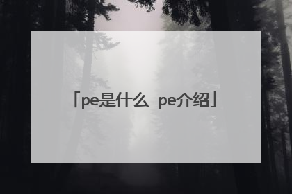 pe是什么 pe介绍