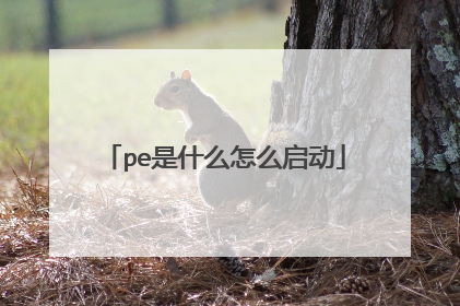 pe是什么怎么启动