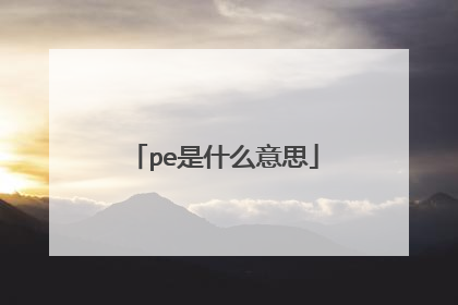 pe是什么意思