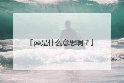 pe是什么意思啊?