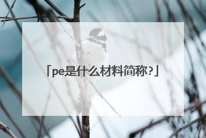 pe是什么材料简称?