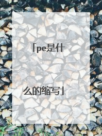 pe是什么的缩写