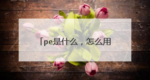 pe是什么，怎么用它来做U盘启动盘