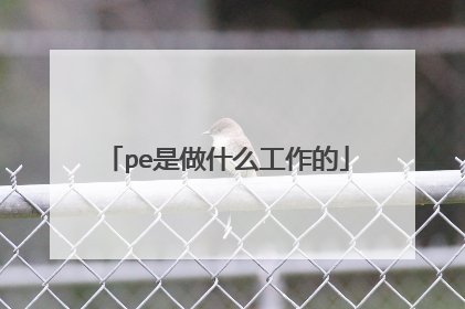pe是做什么工作的