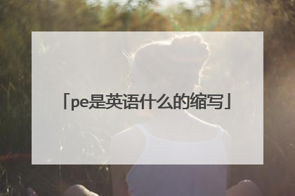 pe是英语什么的缩写