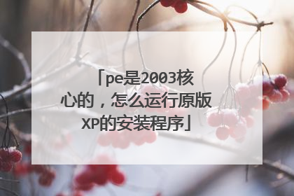 pe是2003核心的，怎么运行原版XP的安装程序